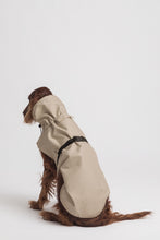 Load image into Gallery viewer, Dog Raincoat - Taupe
