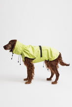 Load image into Gallery viewer, Dog Raincoat - Lime Yellow
