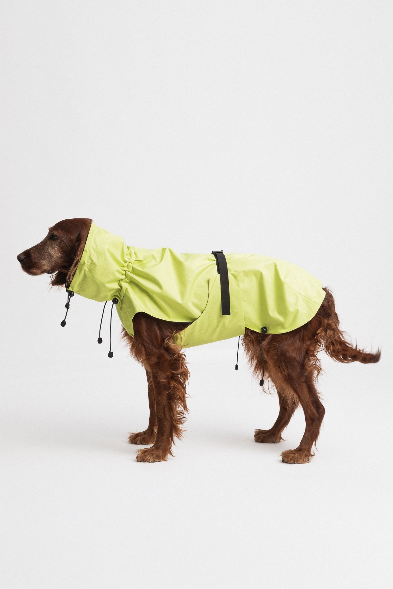Dog Raincoat - Lime Yellow