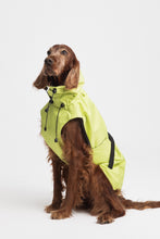 Load image into Gallery viewer, Dog Raincoat - Lime Yellow
