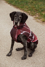Load image into Gallery viewer, Dog Raincoat - Turtle Red

