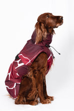 Load image into Gallery viewer, Dog Raincoat - Turtle Red
