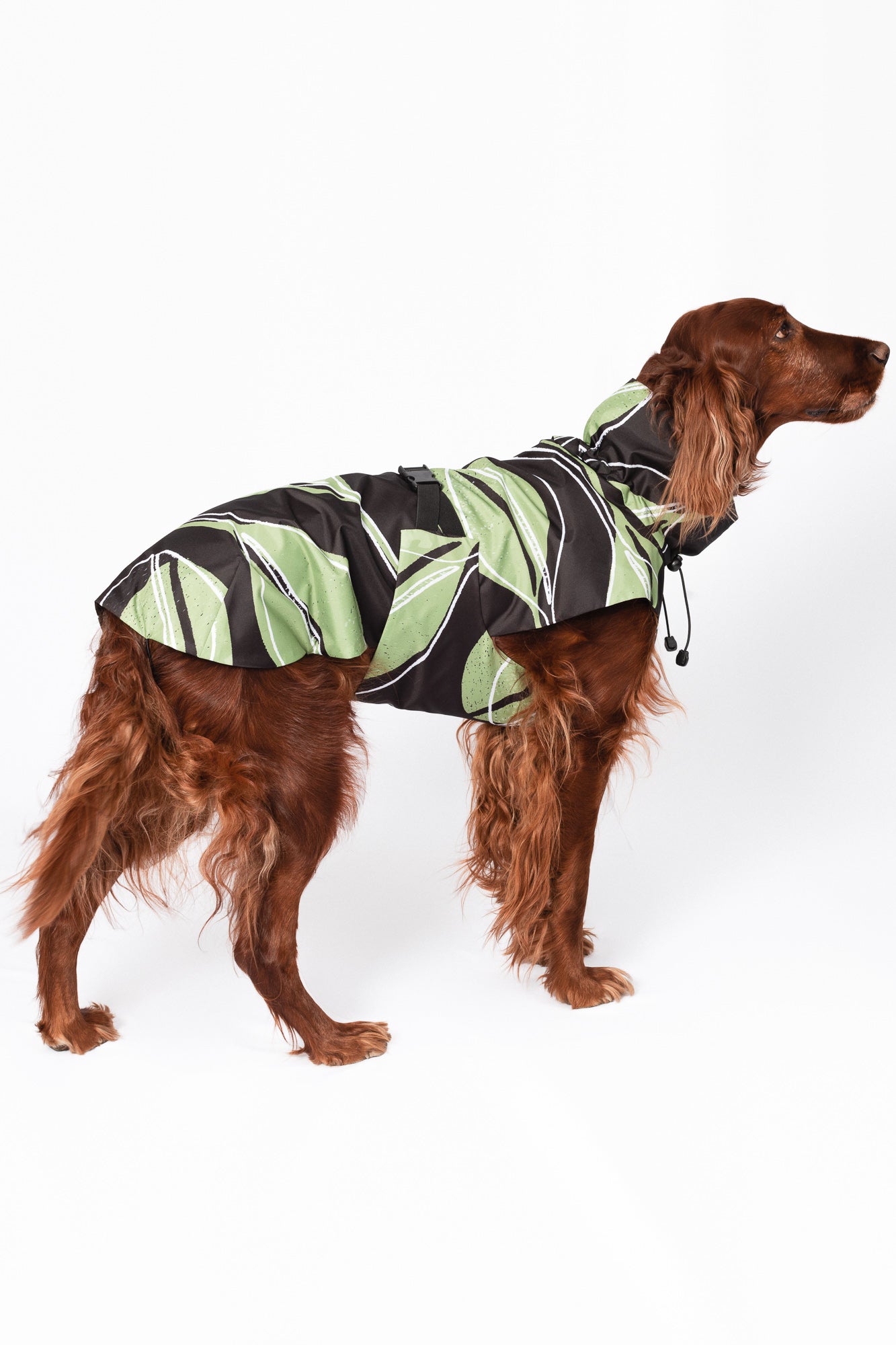 Dog Raincoat - Leaf Olive