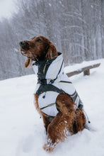 Load image into Gallery viewer, Dog Winter Coat - Leaf White
