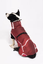 Load image into Gallery viewer, Dog Winter Coat - Turtle Red
