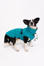 Load image into Gallery viewer, Dog Winter Coat - Turquoise
