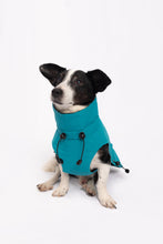 Load image into Gallery viewer, Dog Winter Coat - Turquoise
