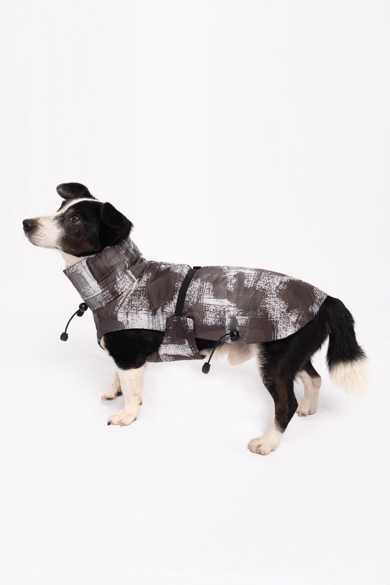 Dog Winter Coat - Stains Grey