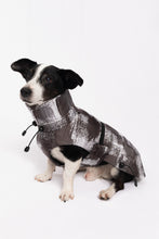 Load image into Gallery viewer, Dog Winter Coat - Stains Grey
