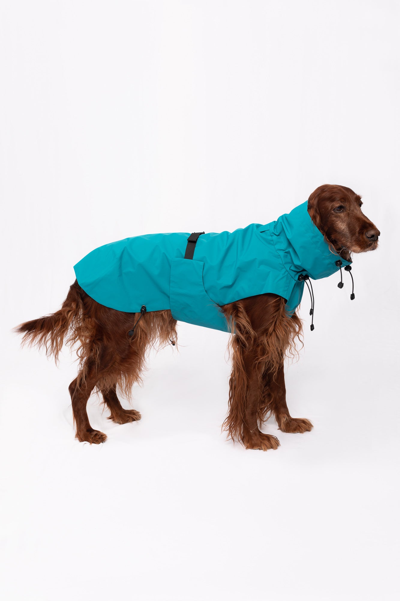 Dog Raincoat - Turquoise