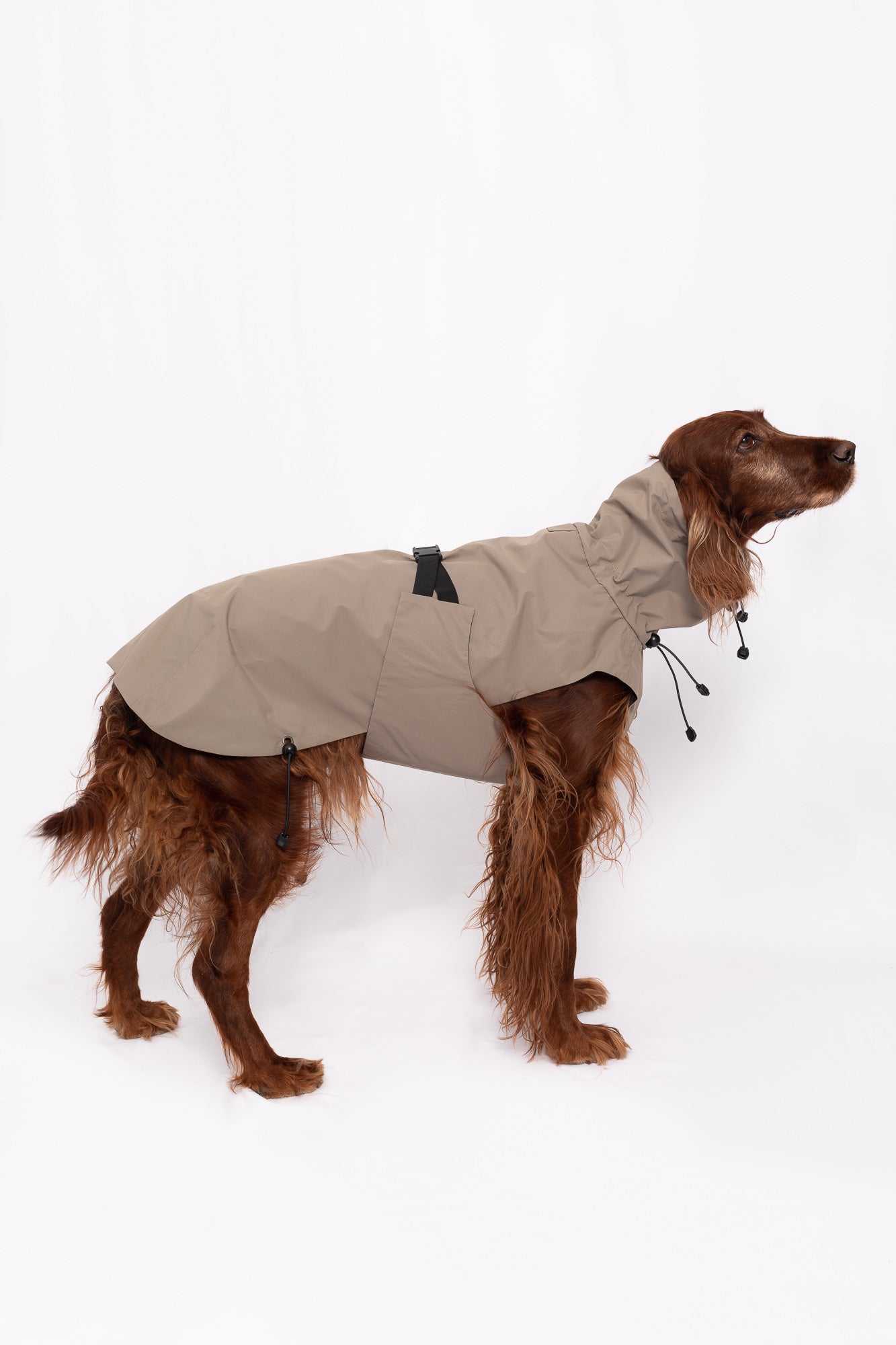 Dog Raincoat - Sand