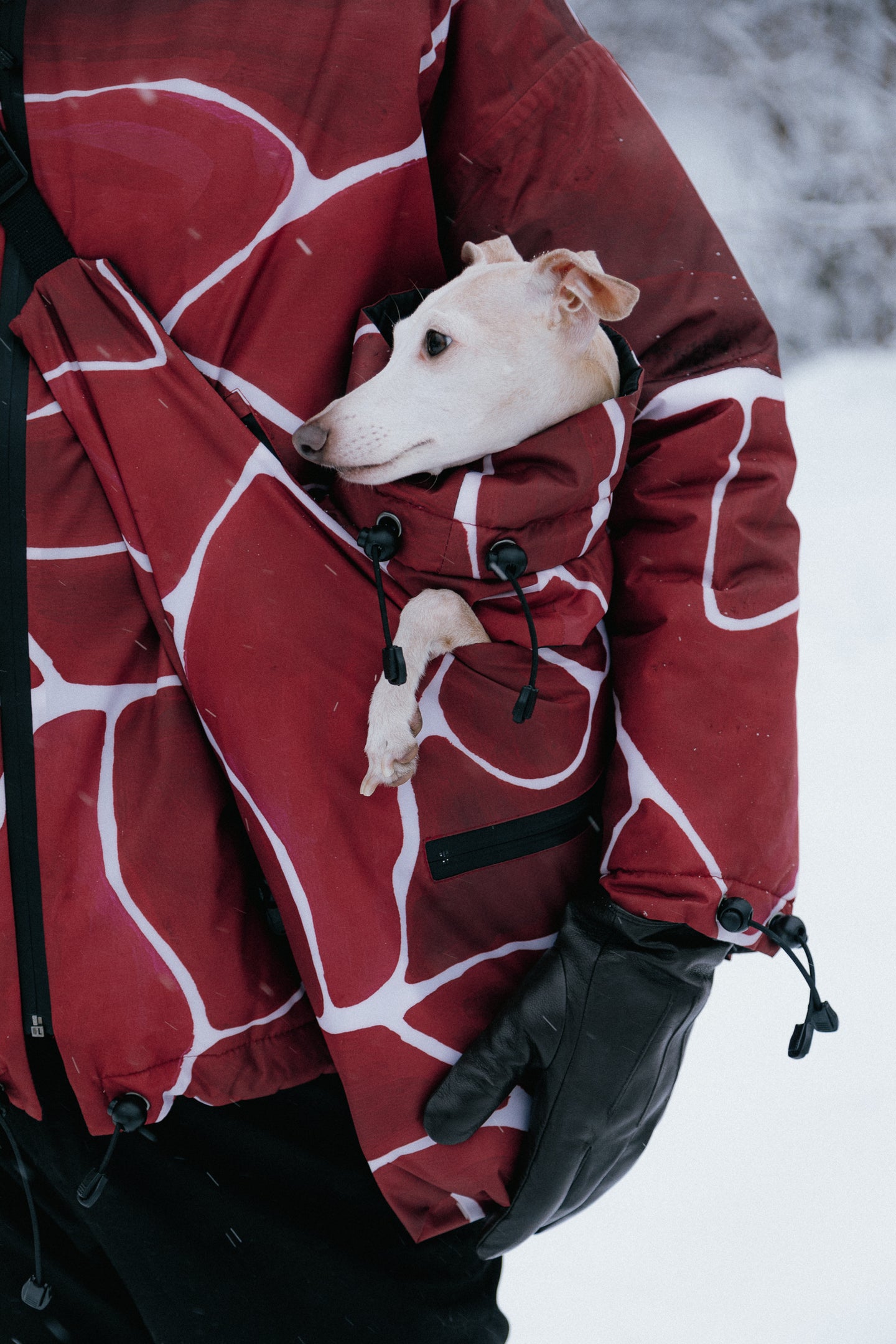 Dog Carrier - Turtle Red
